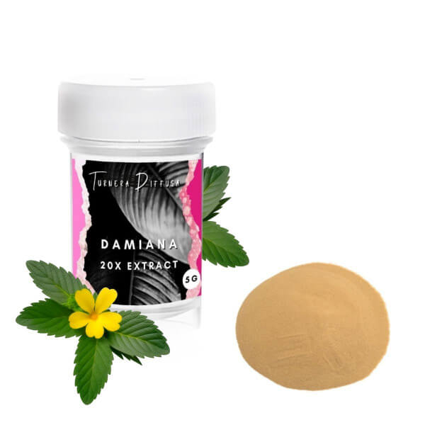 Damiana (Turnera diffusa) extrakt 20x Damiana (Turnera diffusa) extrakt 20x