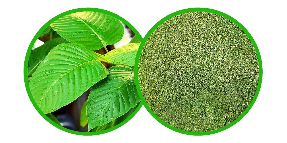 Kratom Maeng Da Green Premium