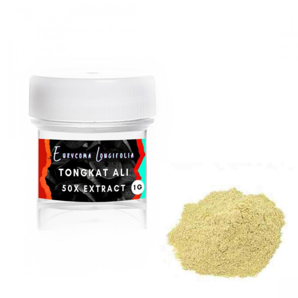 Tongkat Ali (Eurycoma longifolia) Extrakt 50x Tongkat Ali (Eurycoma longifolia) Extrakt 50x