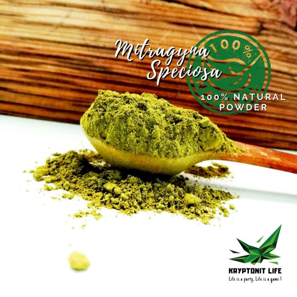 Mitragyna speciosa - kratom Mitragyna speciosa - kratom