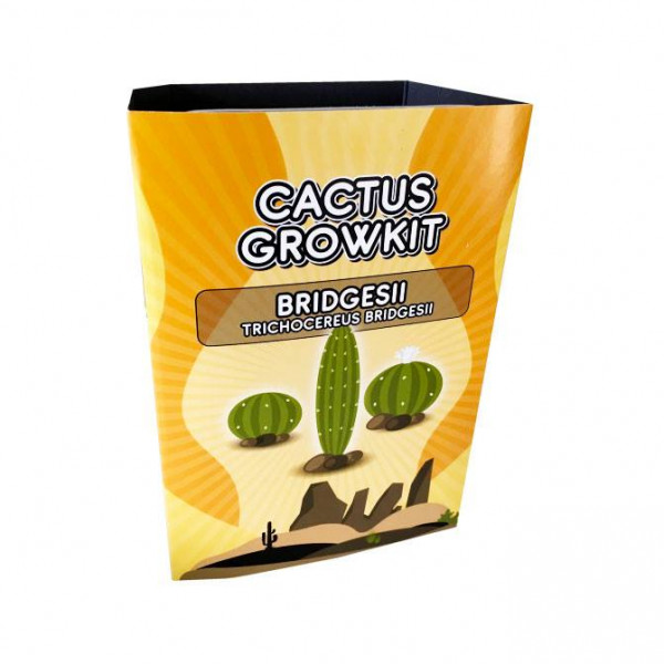 Sada na pěstování kaktusu - Bridgesii - Trichocereus bridgesii Sada na pěstování kaktusu - Bridgesii - Trichocereus bridgesii