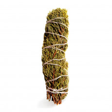 Jalovec Západní (Juniperus occidentalis) - 1 svazek - 20 cm