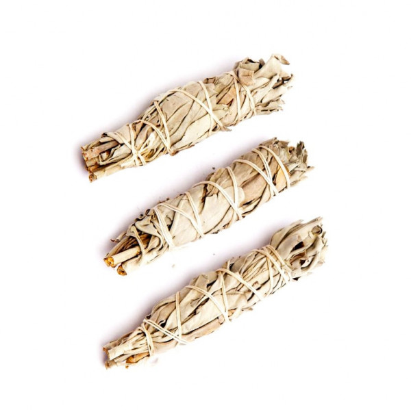 Bílá šalvěj (Salvia apiana) - 3 svazky - 12 cm Bílá šalvěj (Salvia apiana) - 3 svazky - 12 cm