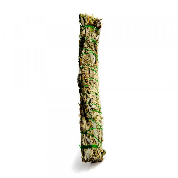 Pelyněk černobýl (Artemisia vulgaris) - 1 svazek - 20 cm Pelyněk černobýl (Artemisia vulgaris) - 1 svazek - 20 cm