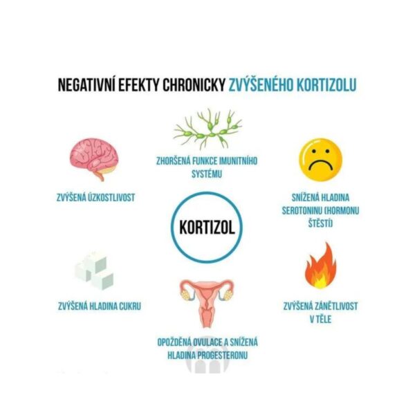 BrainMax - 1.5 Adaptogenic - 60 kapslí - Stop únavě! BrainMax - 1.5 Adaptogenic - 60 kapslí - Stop únavě!
