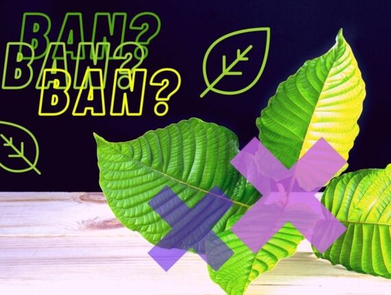 Informace o zákazu Kratomu v Česku a na Slovensku