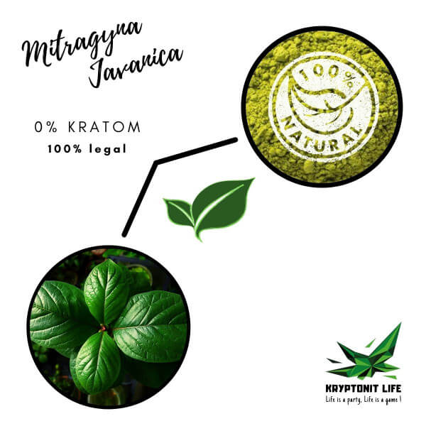NE-KRATOM - Mitragyna Javanica - Prášek NE-KRATOM - Mitragyna Javanica - Prášek