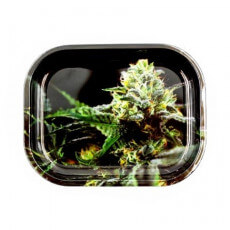 V Syndicate - Strain O.G. Kush - Balící Tác - vel. S