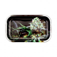 V Syndicate - Strain O.G. Kush - Balící Tác - vel. M