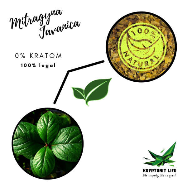 NE-KRATOM - Mitragyna Javanica - Drcené listy NE-KRATOM - Mitragyna Javanica - Drcené listy