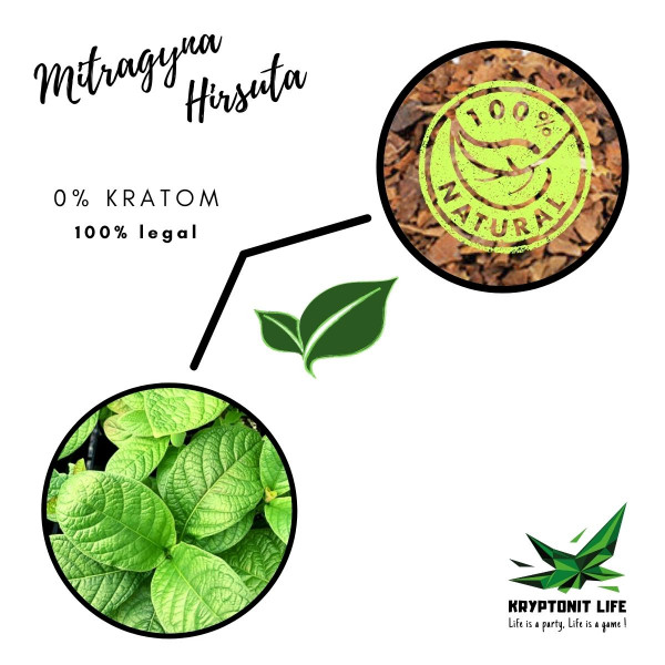 NE-KRATOM - Mitragyna Hirsuta - Drcené listy NE-KRATOM - Mitragyna Hirsuta - Drcené listy