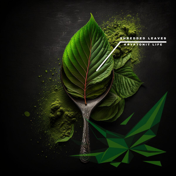 mitragyna javanica, mitragyna hirsuta, listy mitragyna javanica, mitragyna hirsuta, listy