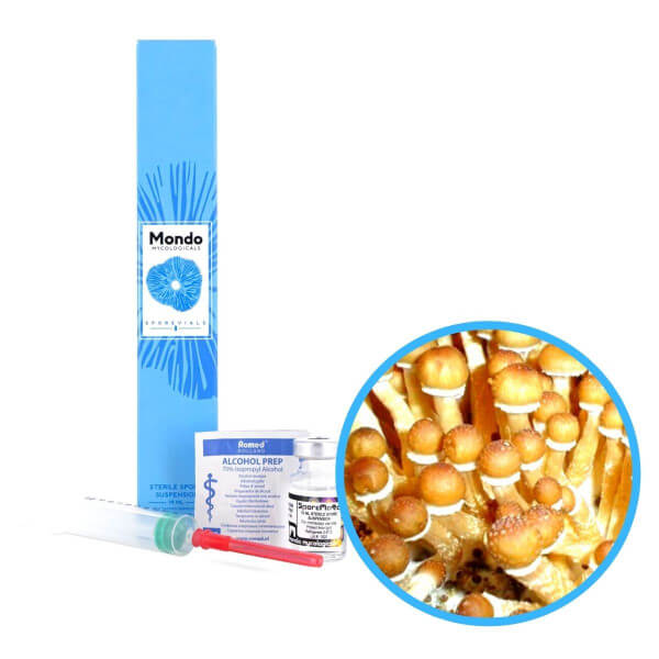 Cambodia Spory (Lahvička) - 10 ml Cambodia Spory (Lahvička) - 10 ml