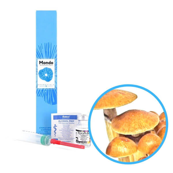 Treasure Coast Spory (Lahvička) - 10 ml Treasure Coast Spory (Lahvička) - 10 ml