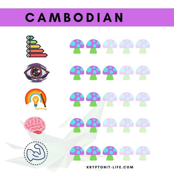 Cambodian Spory (Stříkačka) – 20 ml Cambodian Spory (Stříkačka) – 20 ml