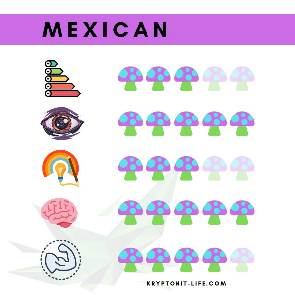 Mexican Spory (Stříkačka) - 20 ml Mexican Spory (Stříkačka) - 20 ml