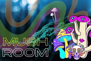 Psychedelické houby historie, současnost a zajímavosti