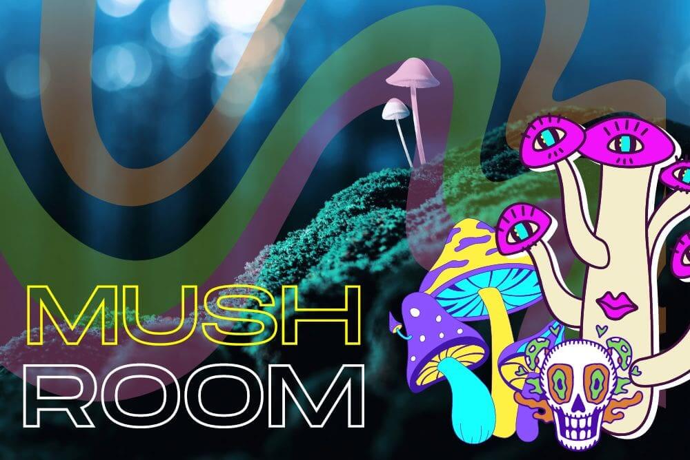 Psychedelické houby historie, současnost a zajímavosti