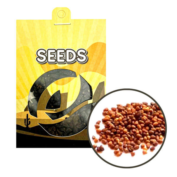 GH - Tabák virginský (Nicotiana tabacum) semena GH - Tabák virginský (Nicotiana tabacum) semena