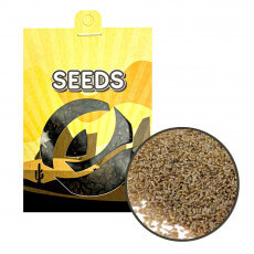 Absinthe wormwood (Artemisia absinthium) - semena - 0,25 g