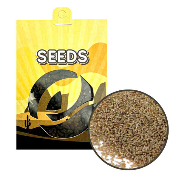 Absinthe wormwood (Artemisia absinthium) - semena - 0,25 g Absinthe wormwood (Artemisia absinthium) - semena - 0,25 g