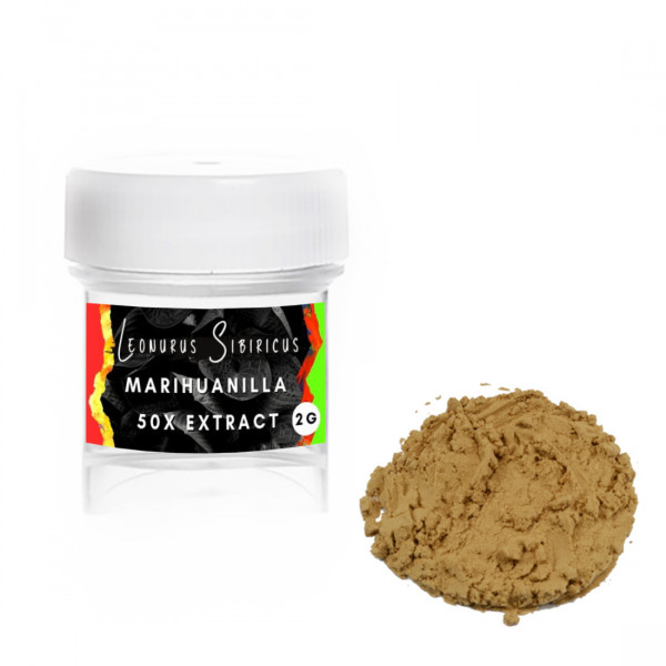 Marihuanilla (leonurus sibiricus) Extrakt 50x Marihuanilla (leonurus sibiricus) Extrakt 50x