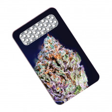 Drtící / Katrovací karta - Bubba Kush