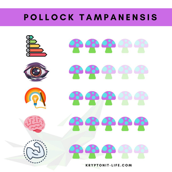 Pollock Tampanensis Spory (Lahvička) - 10 ml Pollock Tampanensis Spory (Lahvička) - 10 ml