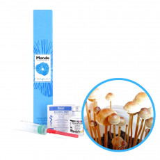 Pollock Tampanensis Spory (Lahvička) - 10 ml