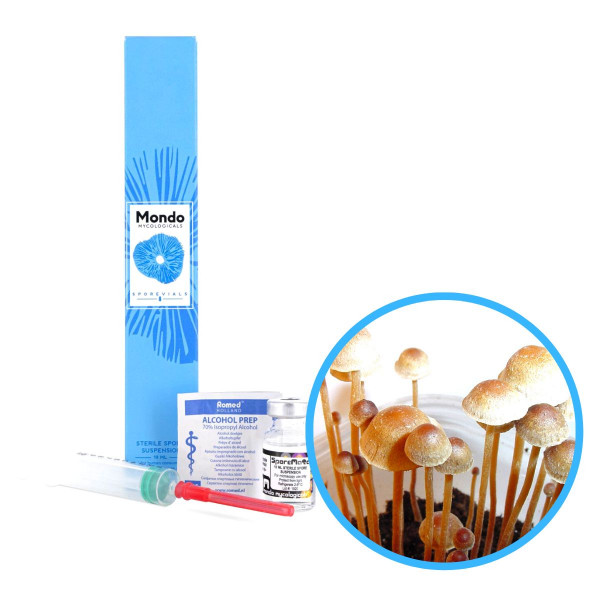 Pollock Tampanensis Spory (Lahvička) - 10 ml Pollock Tampanensis Spory (Lahvička) - 10 ml