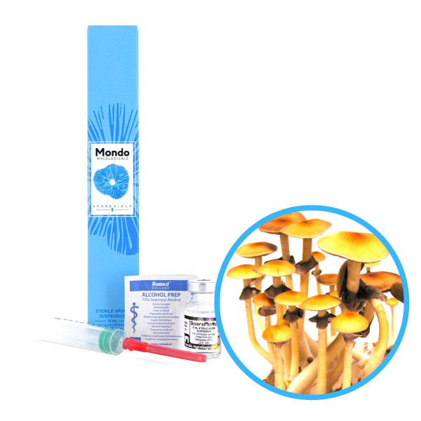 Ban Hua Thai Spory (Lahvička) – 10 ml Ban Hua Thai Spory (Lahvička) – 10 ml