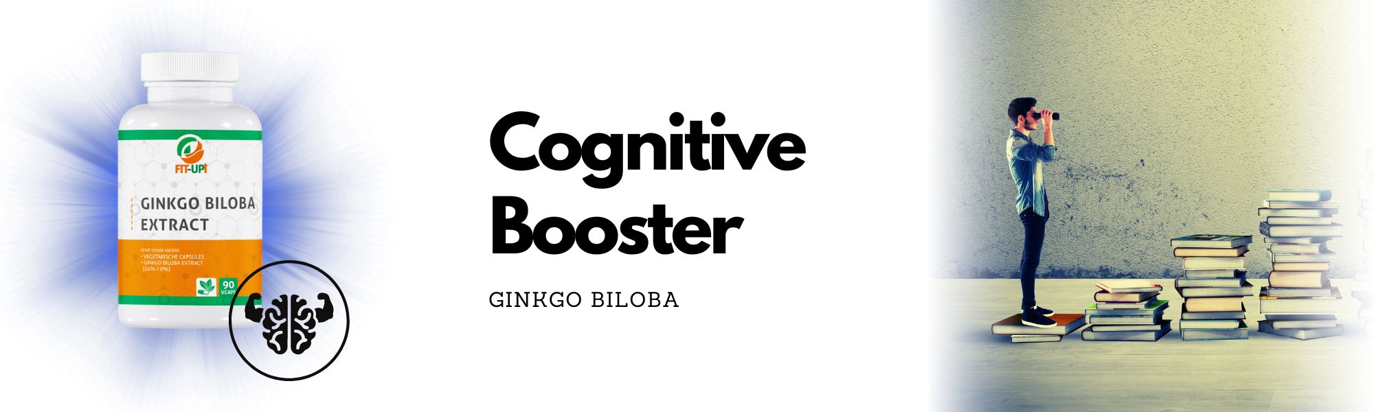 Ginkgo biloba extrakt | 90 Caps - Fit-Up