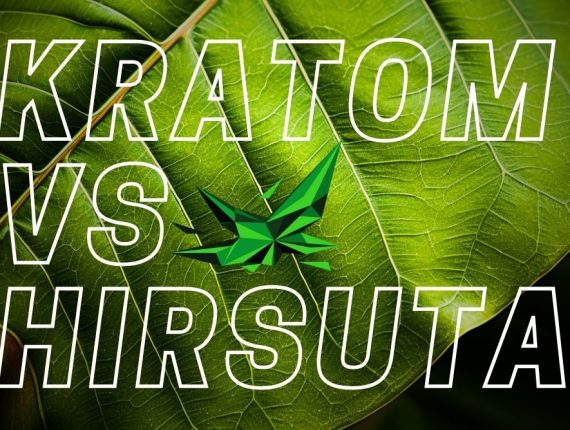 Mitragyna Hirsuta nebo Kratom? Objev Tuto Novou Alternativu