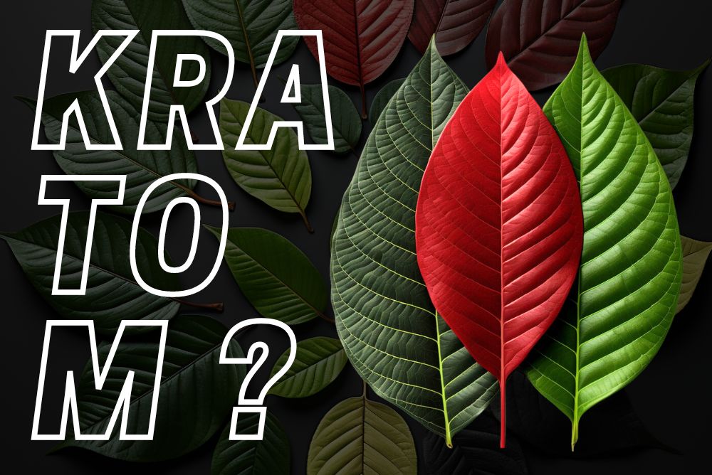 Účinky, dávkování a legislativa Kratomu v ČR