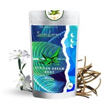 Africký kořen snů (Silene Capensis) - Kořen