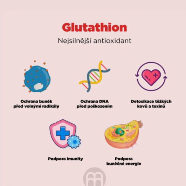 S-Acetyl-L-Glutathione SAG | BrainMax | 100 mg - 100 rostlinných kapslí S-Acetyl-L-Glutathione SAG | BrainMax | 100 mg - 100 rostlinných kapslí