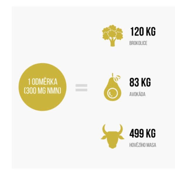 NMN (nikotinamid mononukleotid) | BrainMax - 20g NMN (nikotinamid mononukleotid) | BrainMax - 20g