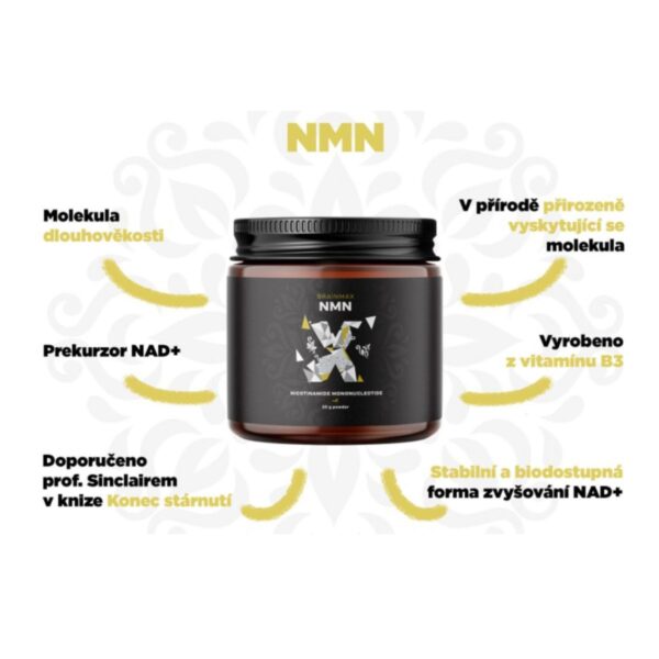 NMN (nikotinamid mononukleotid) | BrainMax - 20g NMN (nikotinamid mononukleotid) | BrainMax - 20g