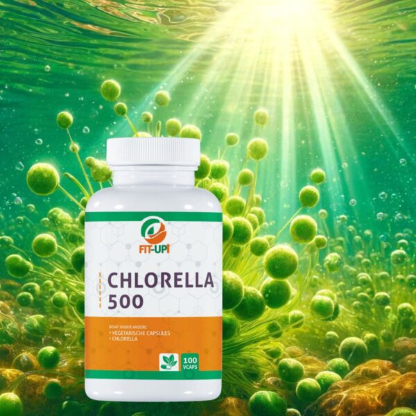 Chlorella 500 - 3000 mg | 180 Vegan Caps - Fit-Up Chlorella 500 - 3000 mg | 180 Vegan Caps - Fit-Up
