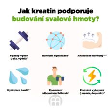 Creatine Monohydrate, Kreatin monohydrát - BrainMax | 500 g