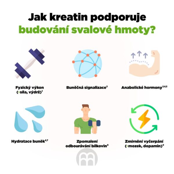 Creatine Monohydrate, Kreatin monohydrát - BrainMax | 500 g Creatine Monohydrate, Kreatin monohydrát - BrainMax | 500 g