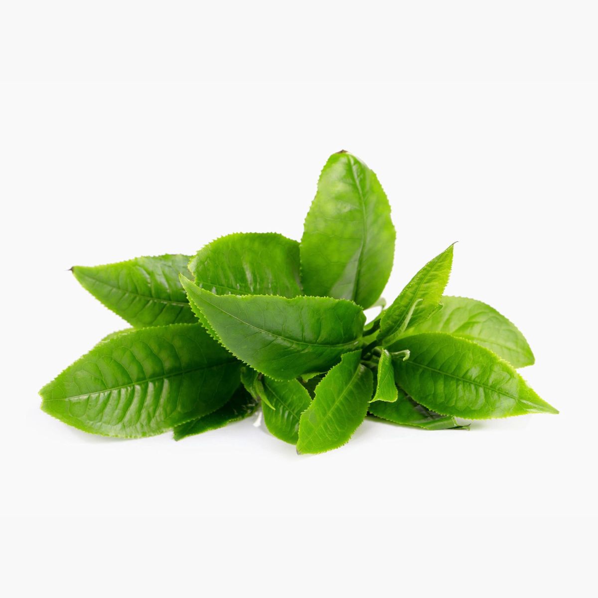 Mood Booster, komplex pro podporu nálady - BrainMax | 90 rostlinných kapslí