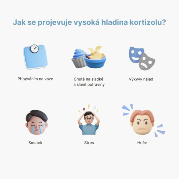 Cortisol Stress Support - komplex pro zvládání stresu | BrainMax Cortisol Stress Support - komplex pro zvládání stresu | BrainMax