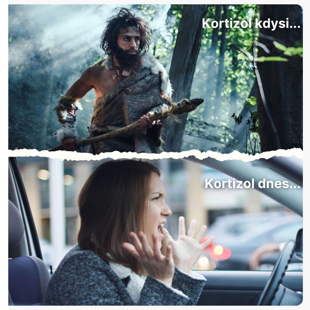 Cortisol Stress Support - komplex pro zvládání stresu | BrainMax