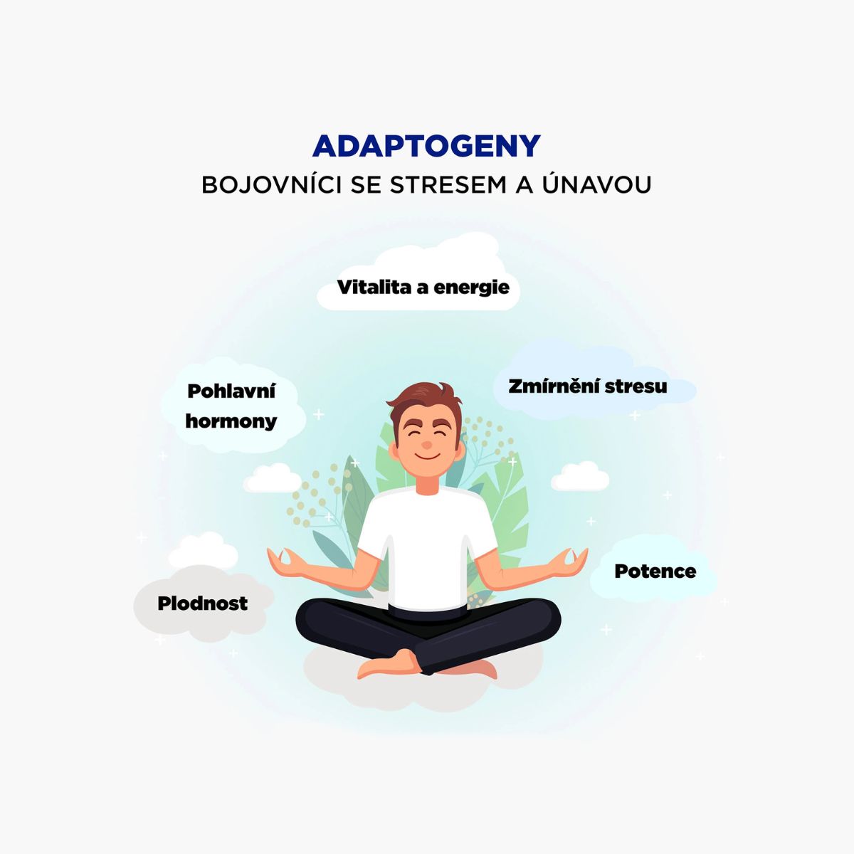 Cortisol Stress Support - komplex pro zvládání stresu | BrainMax