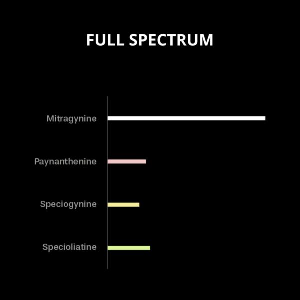 MITRAGYNINE ENHANCED